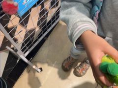 -美奈小馆·东南亚菜(福田星河COCO Park店)