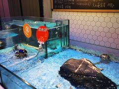 水产区-日进一片海.生腌海鲜火锅.宵夜烧烤(三里屯总店)