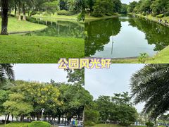 -长洲岛