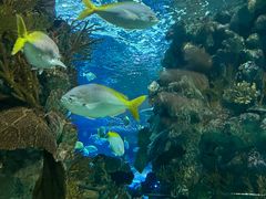 -上海海洋水族馆