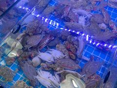 -海韵之星邮轮水会(明发商业广场店)