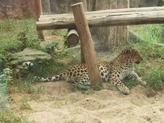 -杭州野生动物世界