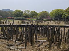 -河姆渡遗址博物馆