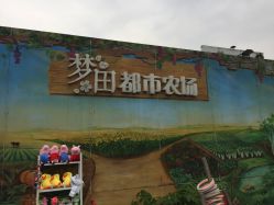 -梦田都市农场(银泰城店)
