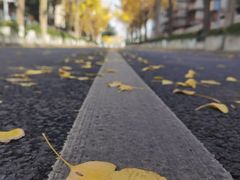 -四川大学(望江校区)