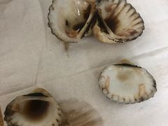 -开禾52阿伟海鲜加工