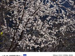 -妙峰山风景名胜区