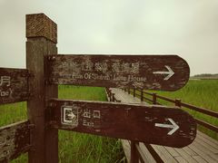 -宁波杭州湾国家湿地公园