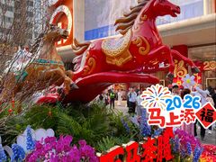 -越秀西湖花市(广州城市广场花卉店)