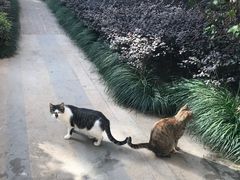 -七浦路服装批发市场
