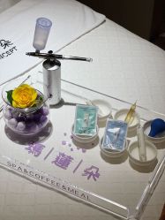 -玛莲朵·海菲秀冰珀科