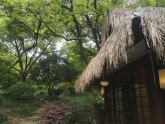 -中国茶叶博物馆(双峰馆区)