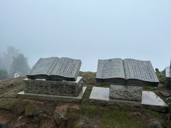 -紫鹊界梯田景区