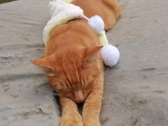 -麦当劳(北京路广百广场店)