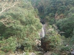 -花岩国家森林公园