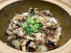 -红星光发煲仔饭(文海店)