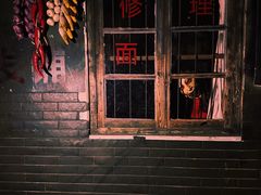 -关你鬼室大型密室逃脱(佛山创意园店)