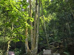 -四会奇石河风景区