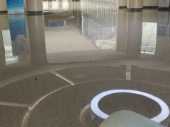 -首都医科大学附属北京天坛医院