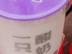-一只酸奶牛(曲江龙湖星悦荟店)