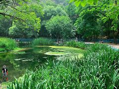 -白水寺森林公园