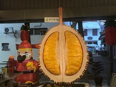 -都念榴莲·城市榴莲