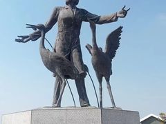 -盐城丹顶鹤湿地生态旅游区