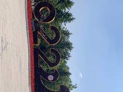 -沈阳鸟岛