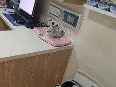 -美迦爱-牙专科·兔科·骨科诊疗中心(北苑店)