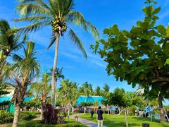 -三亚亚龙湾天域度假酒店