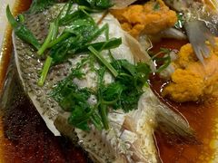 西江剧鲫-八仔大富楼·河鲜(西江店)