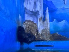 -多彩贵州城极地海洋世界