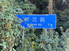 -梧桐山风景名胜区