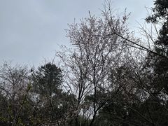 -临平公园(临平街道)