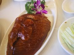 特色烤鸭-九花山烤鸭店