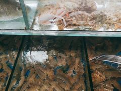 -百丰园海鲜烧烤农家菜(威·至海港湾店)