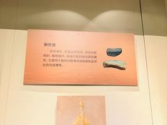 -大庆市博物馆