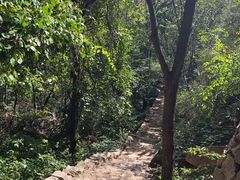 -大岭沟猕猴桃谷风景区