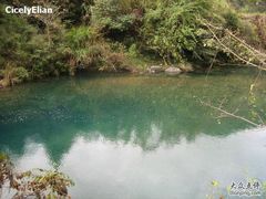 -祁门牯牛降观音堂风景区