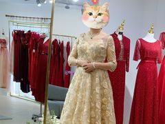 -MSV 高端礼服定制(大良店)