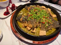 -老板恋上鱼(高新万达店)
