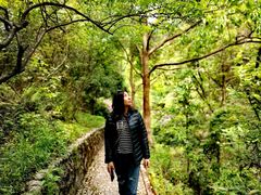 -宁波五龙潭景区