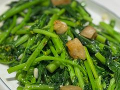 油渣炒菜心-美极鲜食坊(宝安南路店)