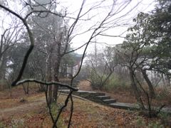 -庐山风景区花径公园