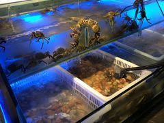 -星伦多自助料理·涮烤一体(嘉兴八佰伴店)