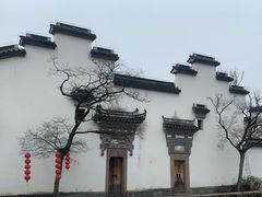 -广富林郊野公园