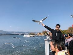 -海埂大坝