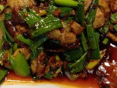 绍皮回锅肉-柏合黄记豆腐皮饭店