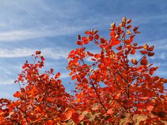 -周口店坡峰岭风景区