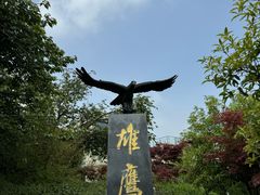 -南京老山国家森林公园